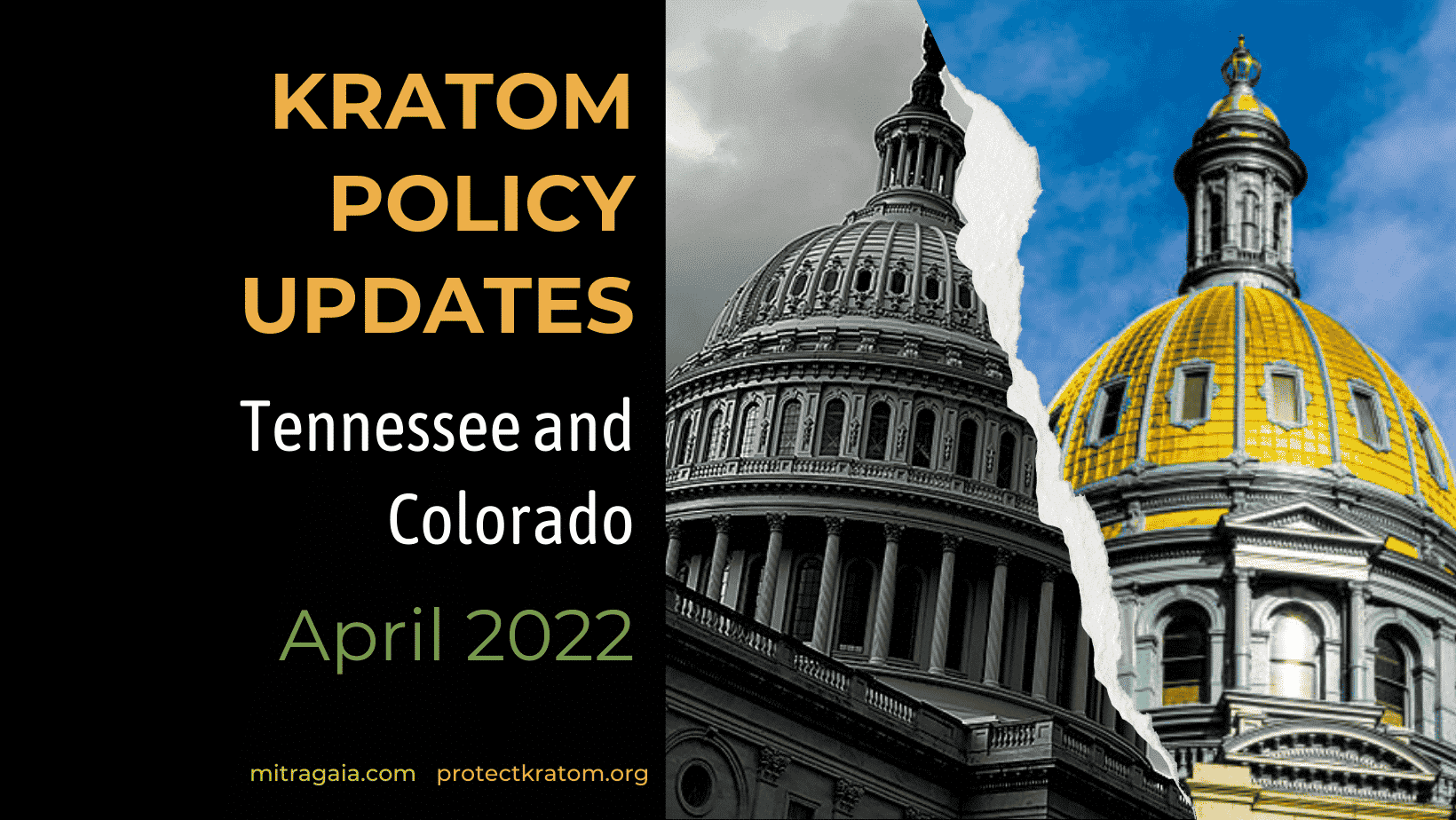 Tennessee kratom ban update 2022; Colorado passes the KCPA