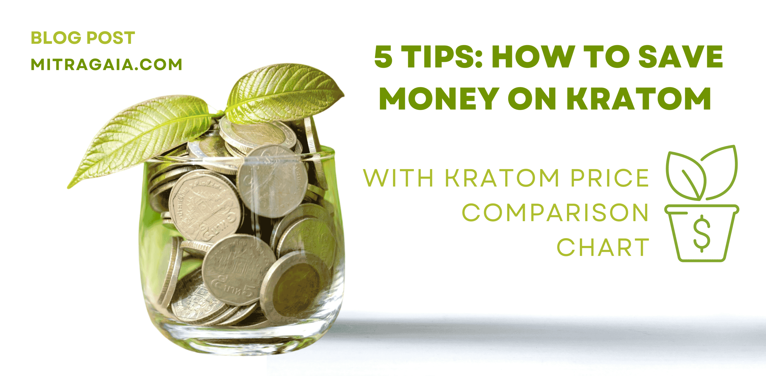 Photo of a coin jar with kratom leaf