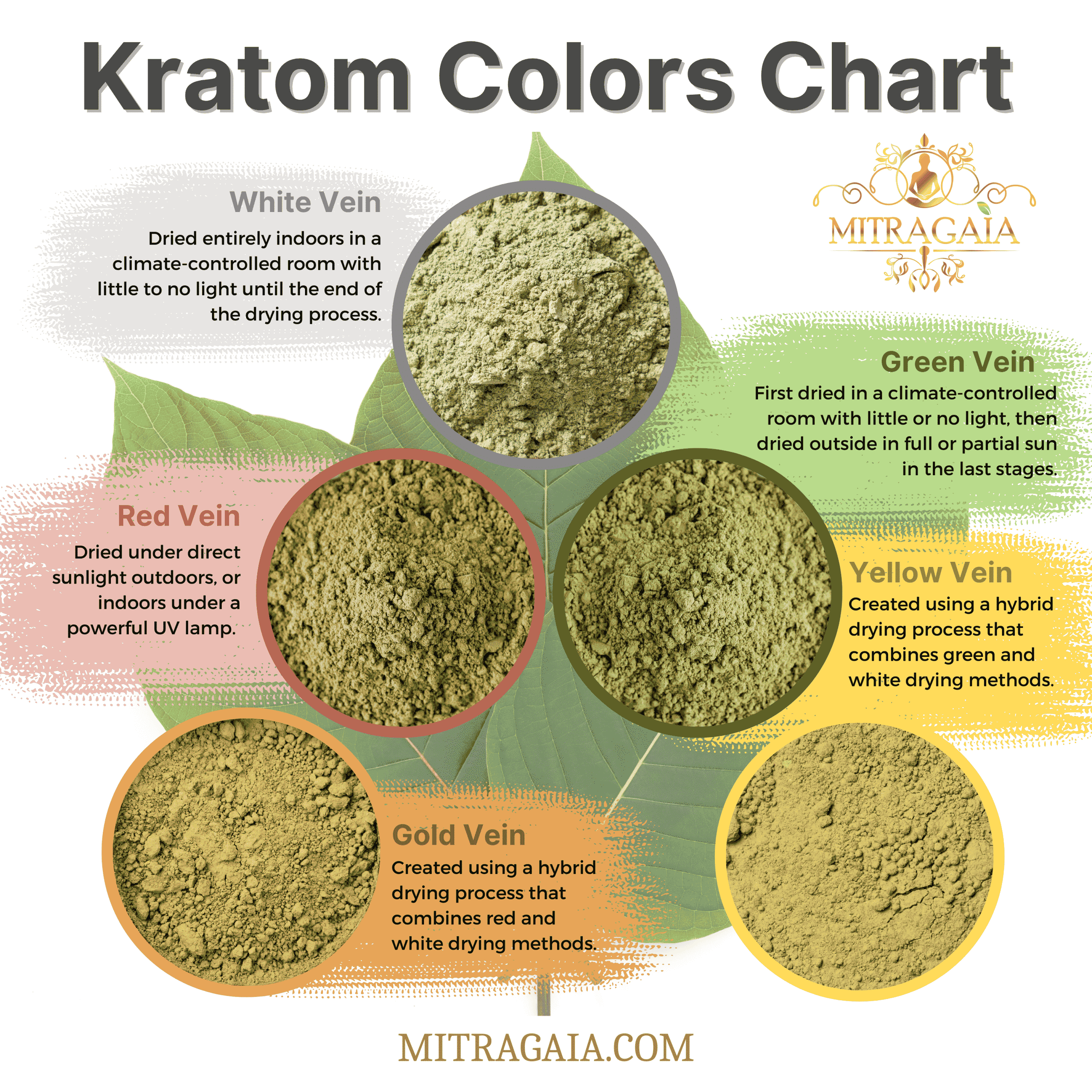 Kratom colors chart/kratom strains chart